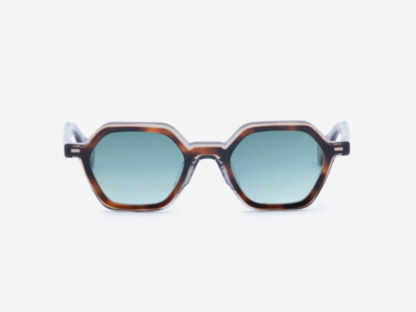 Ellwood Tortoise Color Variant